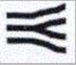 Double Bifurcation